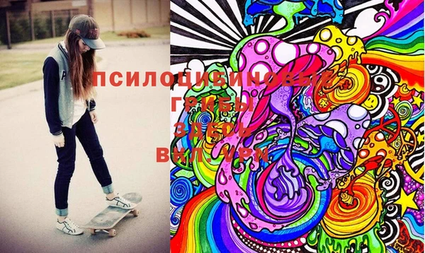 дживик Володарск