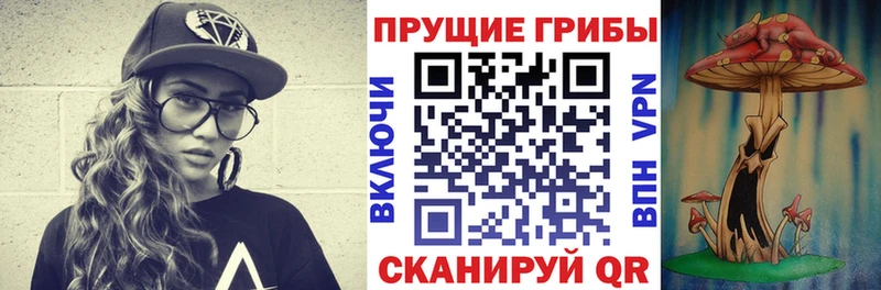 Псилоцибиновые грибы Cubensis  MEGA зеркало  Казань 
